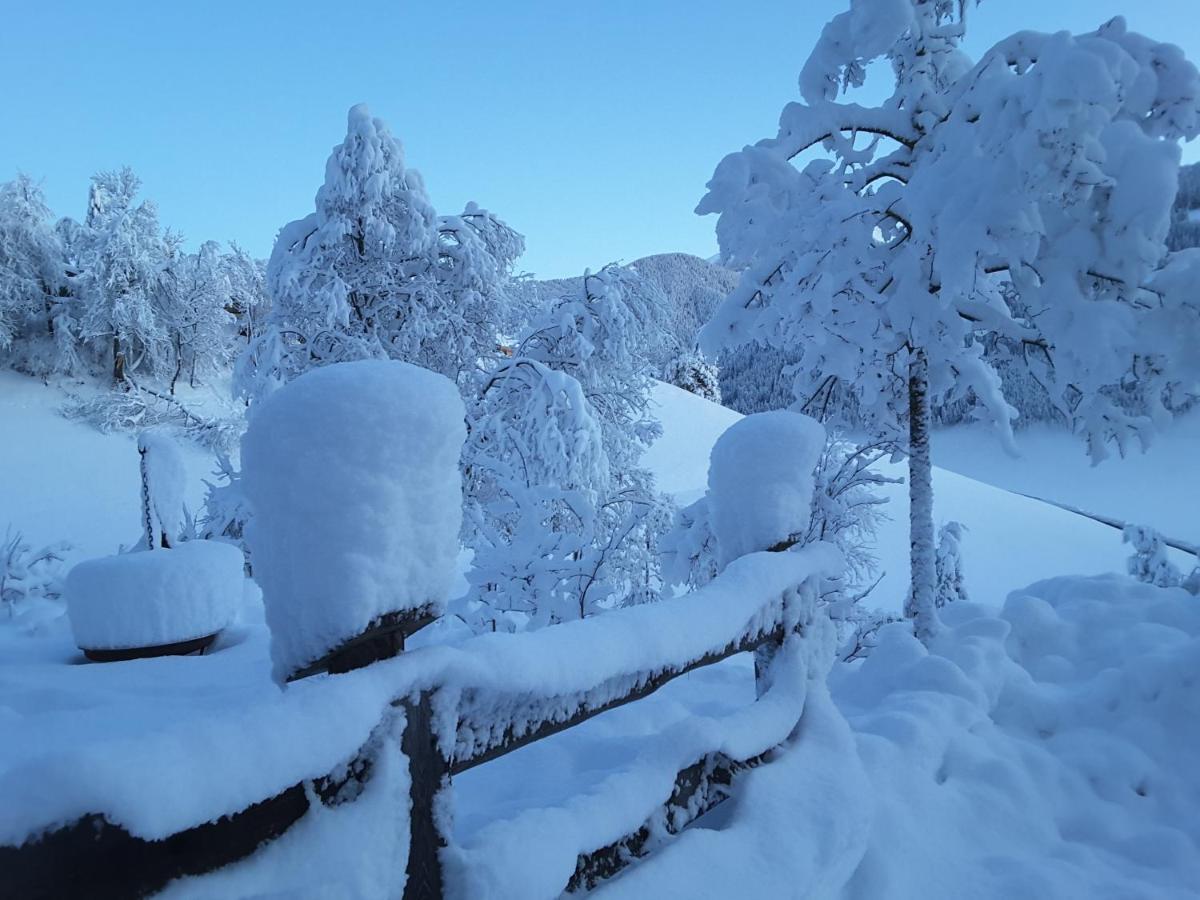 Silentium Dolomites Chalet Since 1600 Monguelfo-Tesido / Welsberg-Taisten ภายนอก รูปภาพ